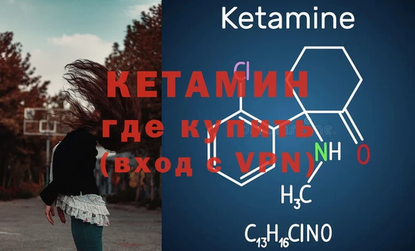 гашик Няндома
