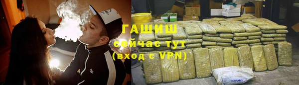 гашик Няндома