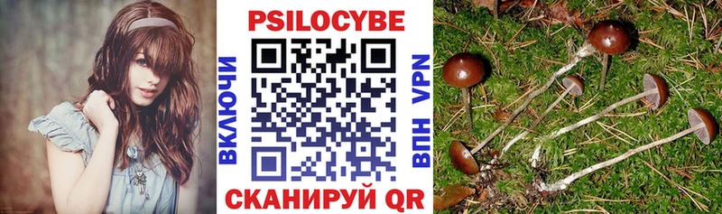 сколько стоит  Суоярви  Галлюциногенные грибы мицелий 