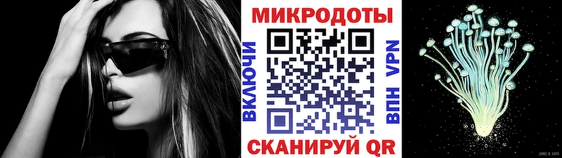 Галлюциногенные грибы Psilocybe Суоярви